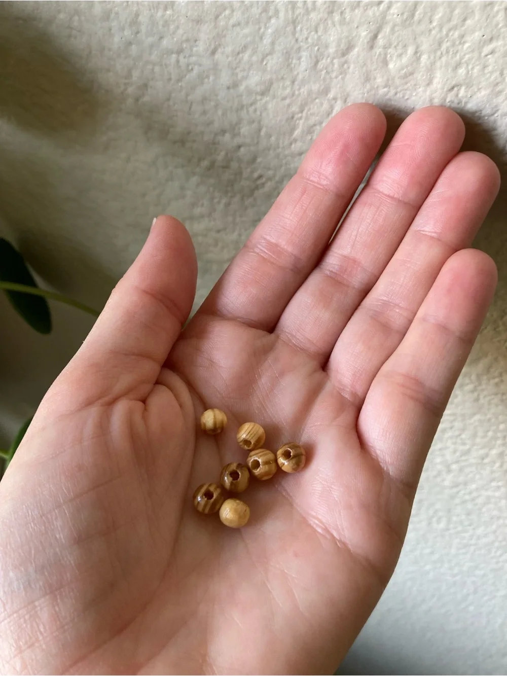 Wood, Coconut and Shell Bead Mix with Organizer